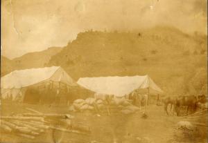 Corral-At-Coal-Creek