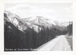 jmb berthoud pass set-101